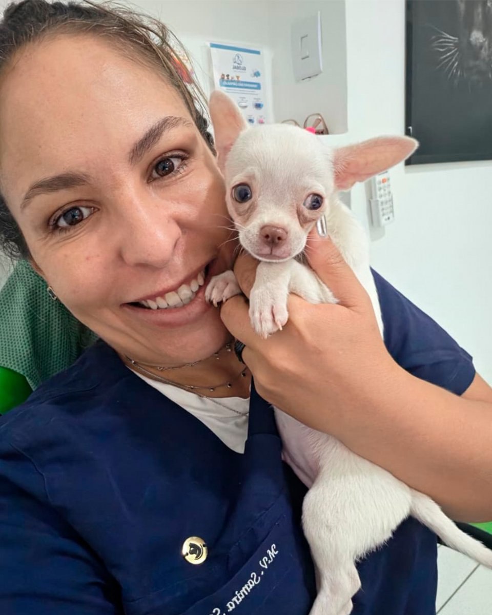 Veterinária da Vet Fuzzi com um filhote de chihuahua