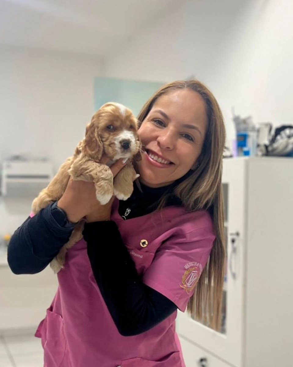Filhote no colo da veterinária