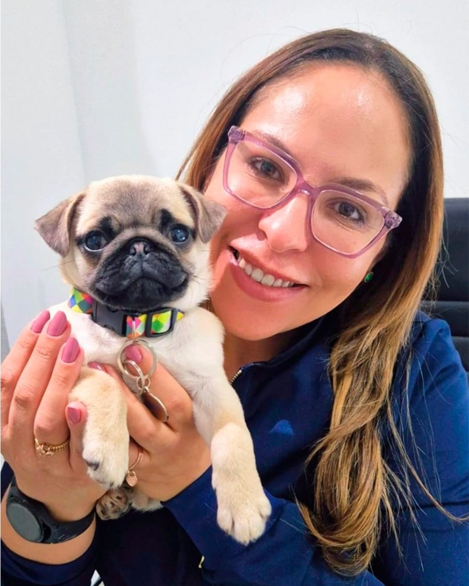 Veterinária com filhote de pug